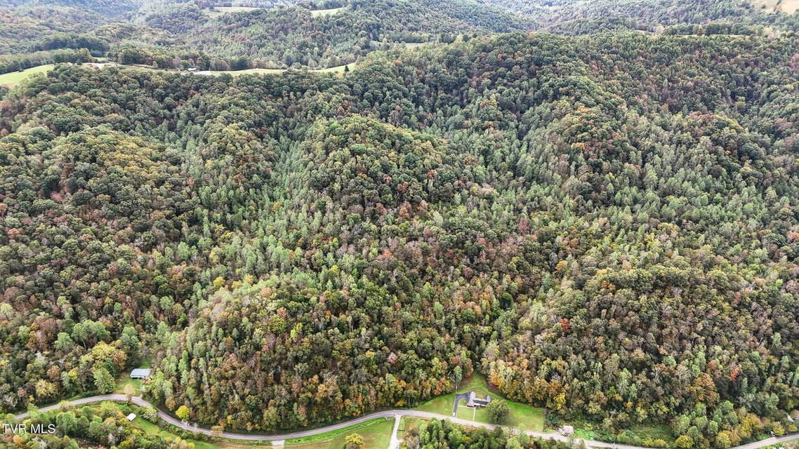 Photo #37: 4299 Fairview Road