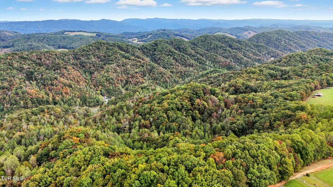 Photo #41: 4299 Fairview Road