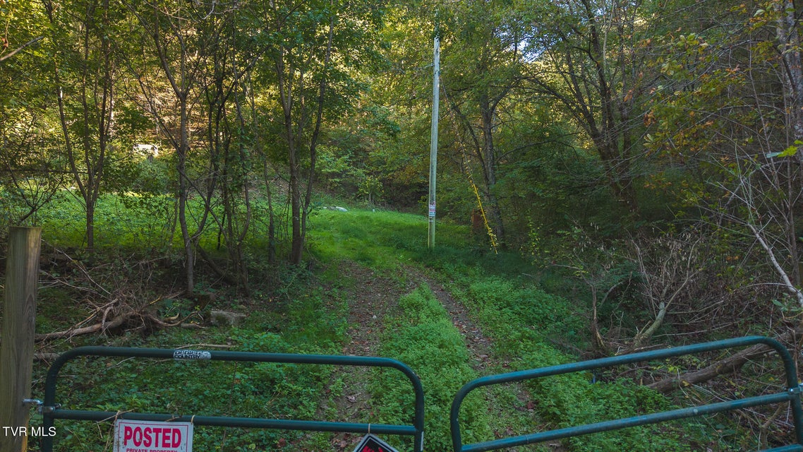 Photo #3: 69.26 Acre Wolfe Road