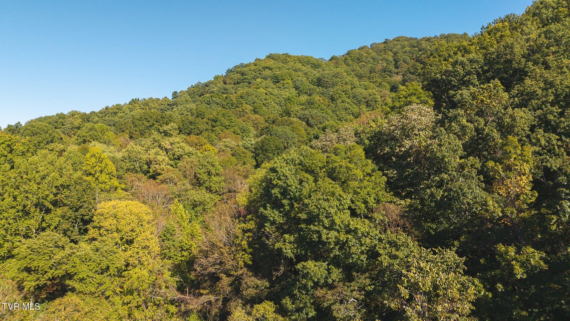 Photo #7: 69.26 Acre Wolfe Road