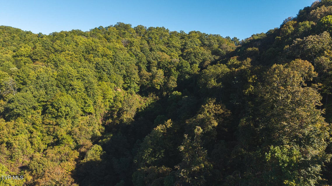 Photo #8: 69.26 Acre Wolfe Road