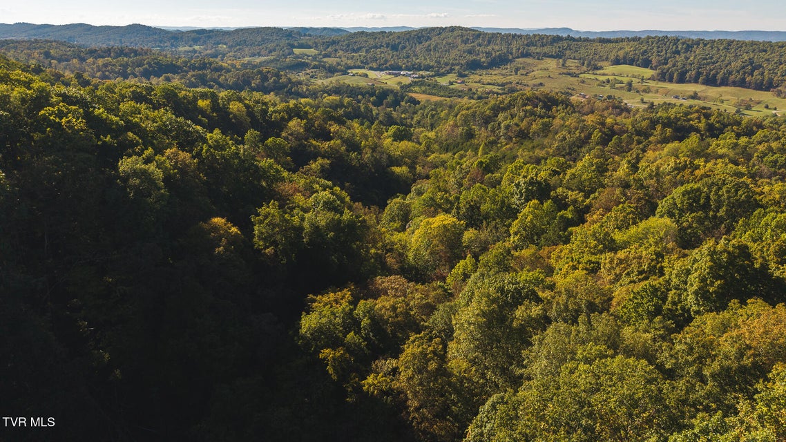 Photo #12: 69.26 Acre Wolfe Road