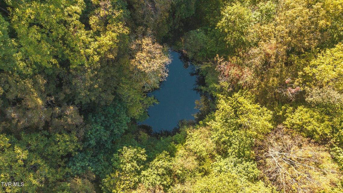 Photo #13: 69.26 Acre Wolfe Road