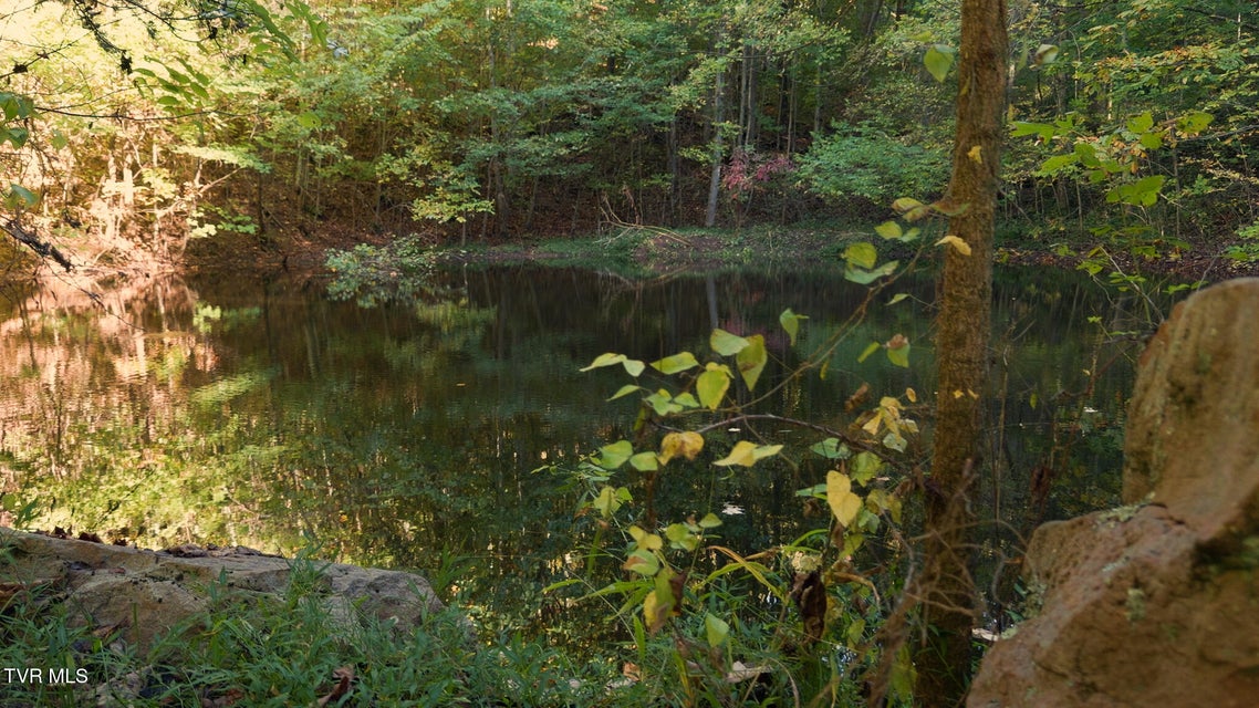 Photo #15: 69.26 Acre Wolfe Road