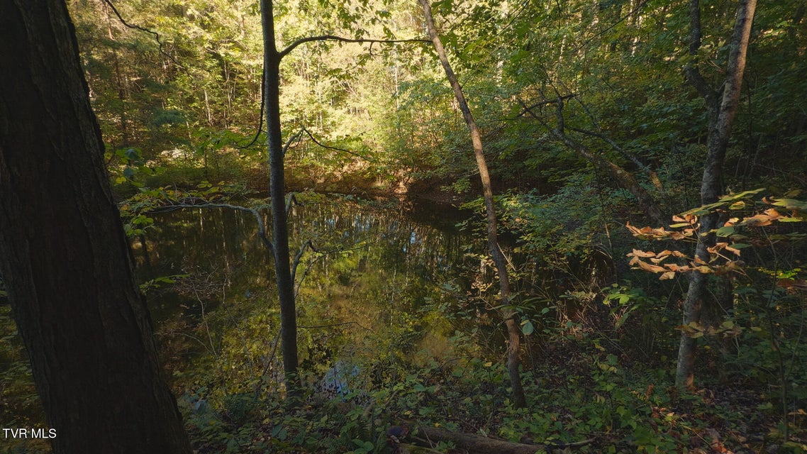 Photo #17: 69.26 Acre Wolfe Road