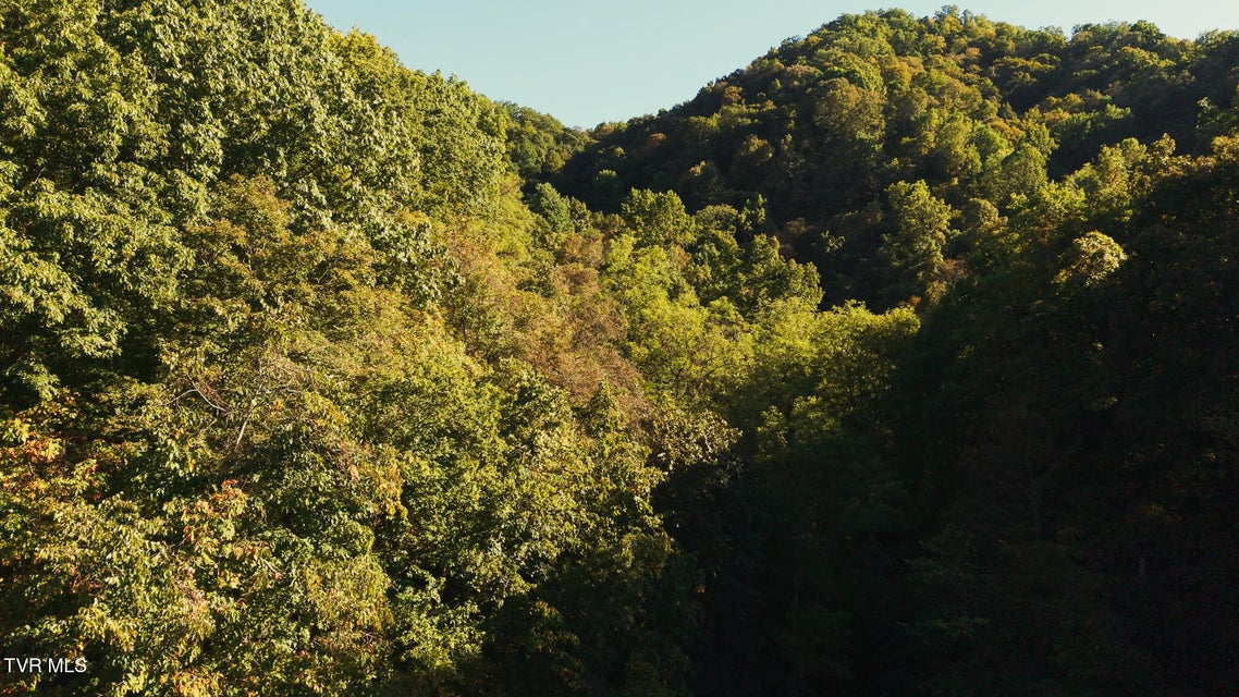 Photo #18: 69.26 Acre Wolfe Road