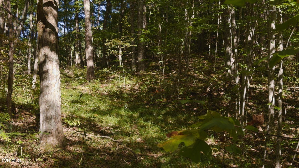 Photo #19: 69.26 Acre Wolfe Road