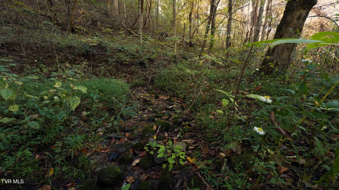 Photo #21: 69.26 Acre Wolfe Road