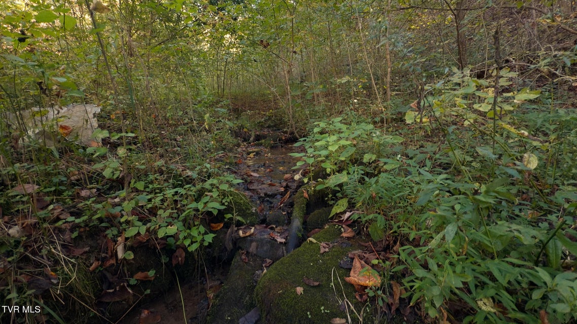 Photo #22: 69.26 Acre Wolfe Road