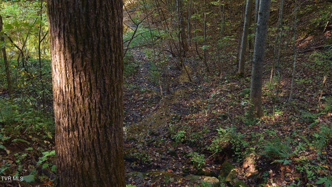 Photo #23: 69.26 Acre Wolfe Road