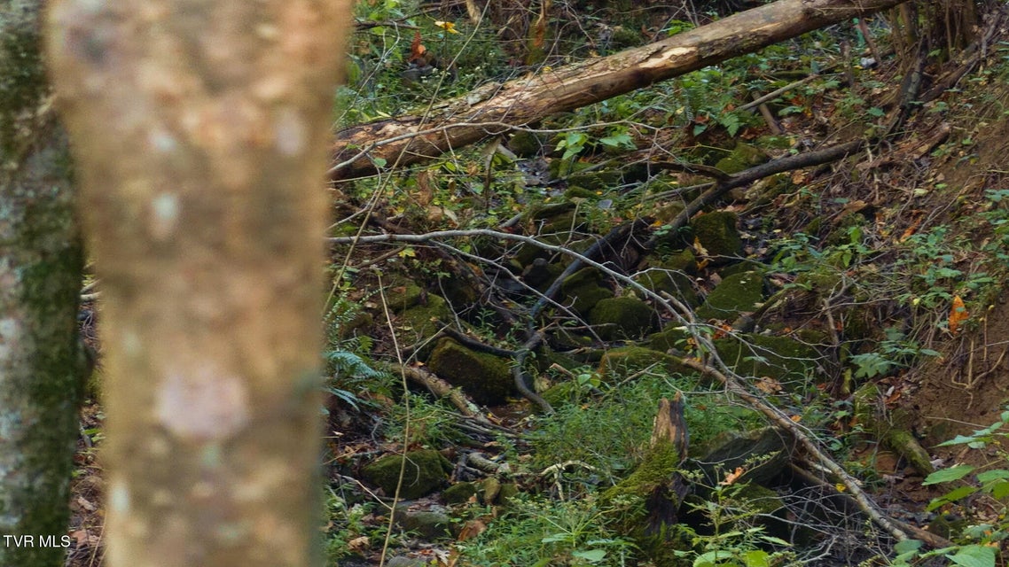 Photo #24: 69.26 Acre Wolfe Road