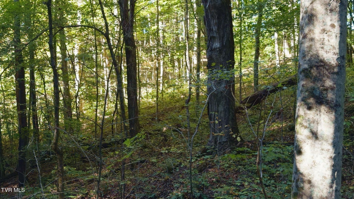 Photo #26: 69.26 Acre Wolfe Road