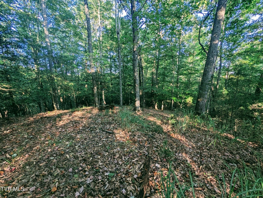 Photo #2: Tbd Blowing Rock 