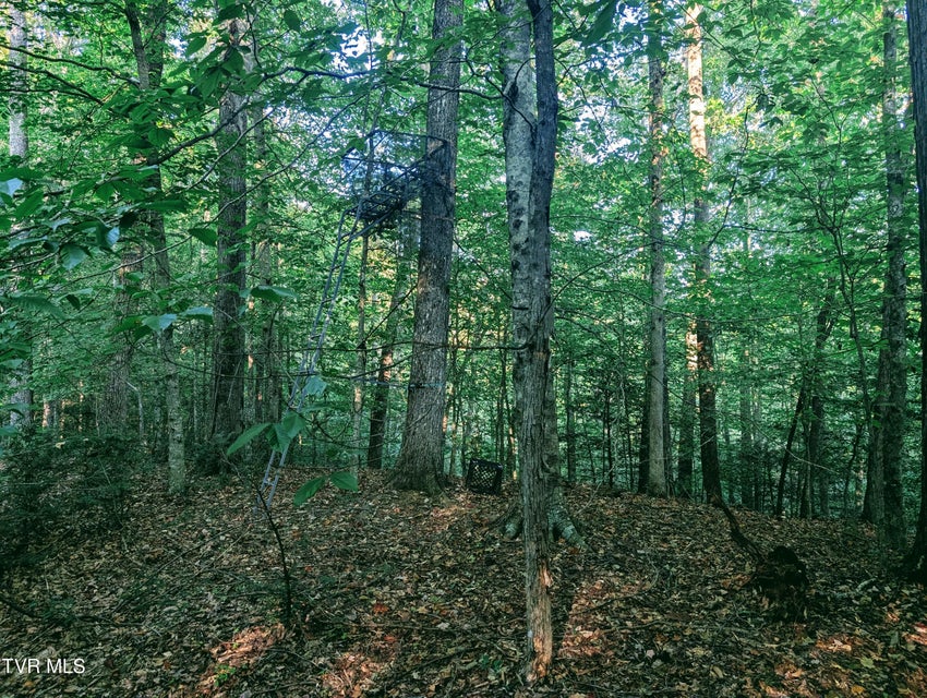 Photo #3: Tbd Blowing Rock 