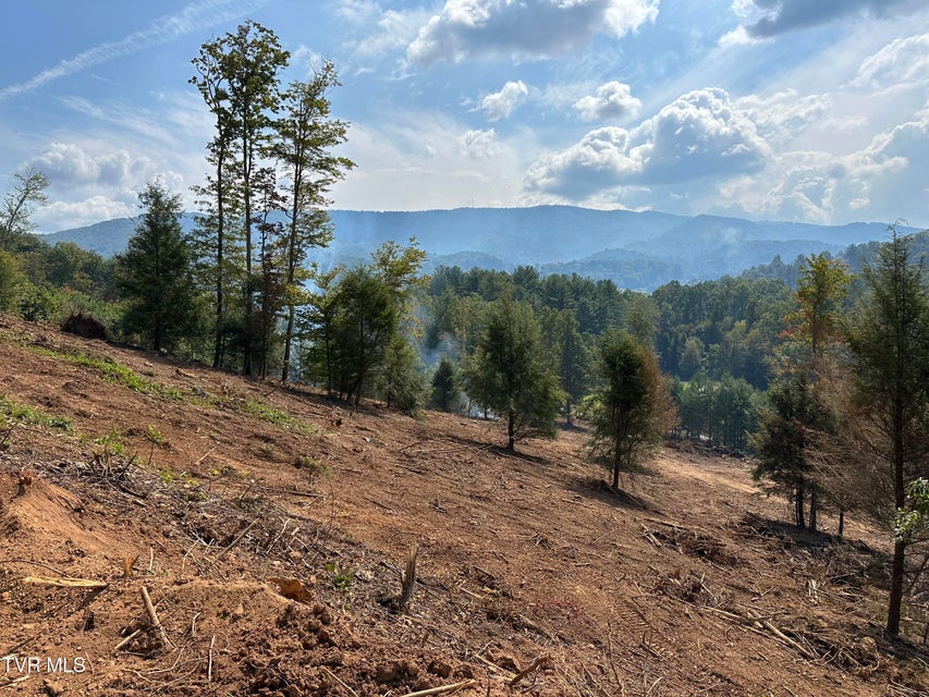 Photo #50: 000 Tbd Noah Snyder Road