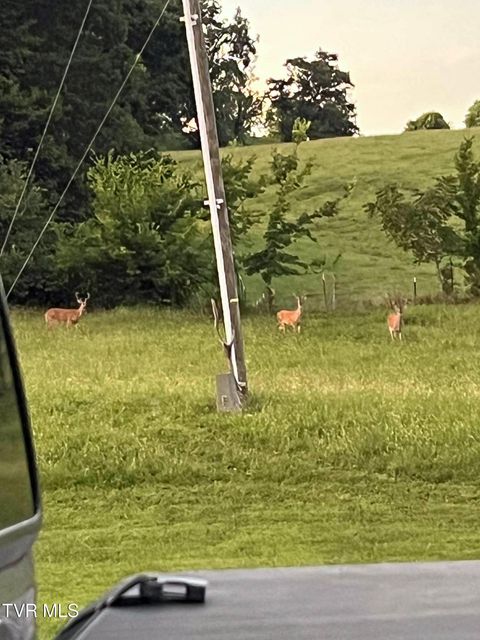 Photo #41: 269 Oklahoma Road