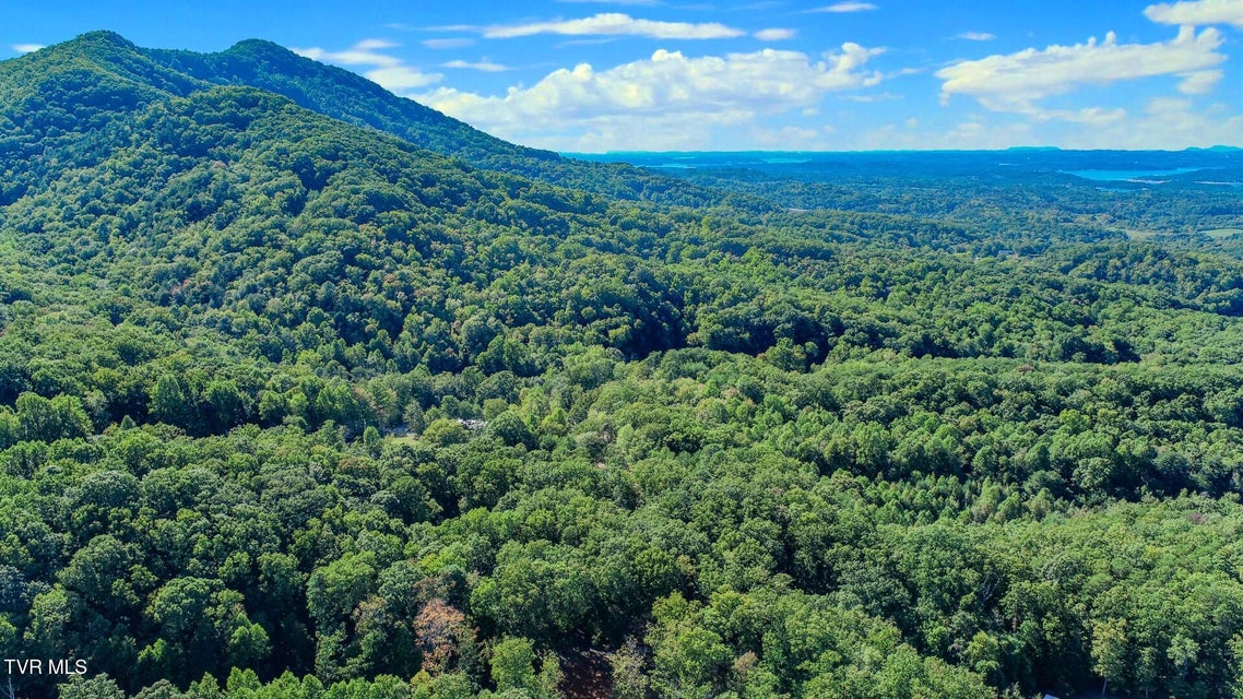 Photo #2: 113 Huffman Way 