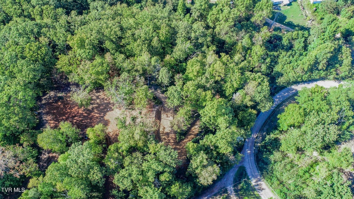 Photo #3: 113 Huffman Way 