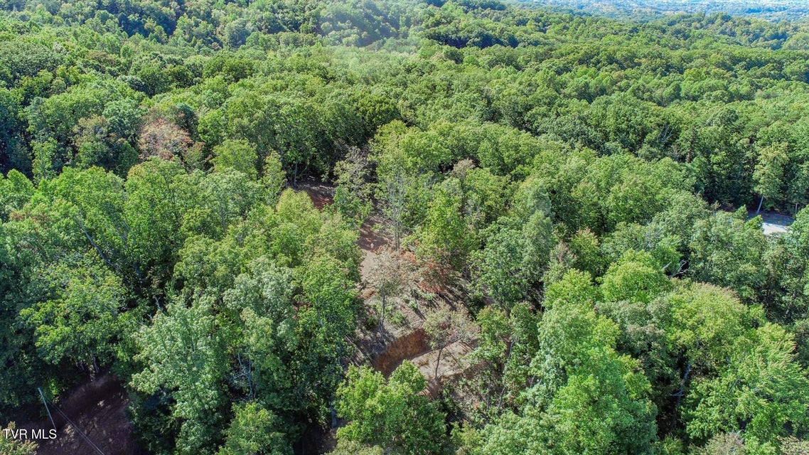 Photo #5: 113 Huffman Way 