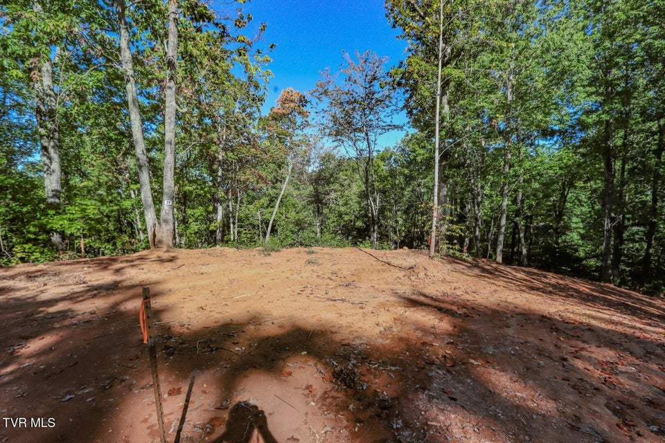 Photo #6: 113 Huffman Way 