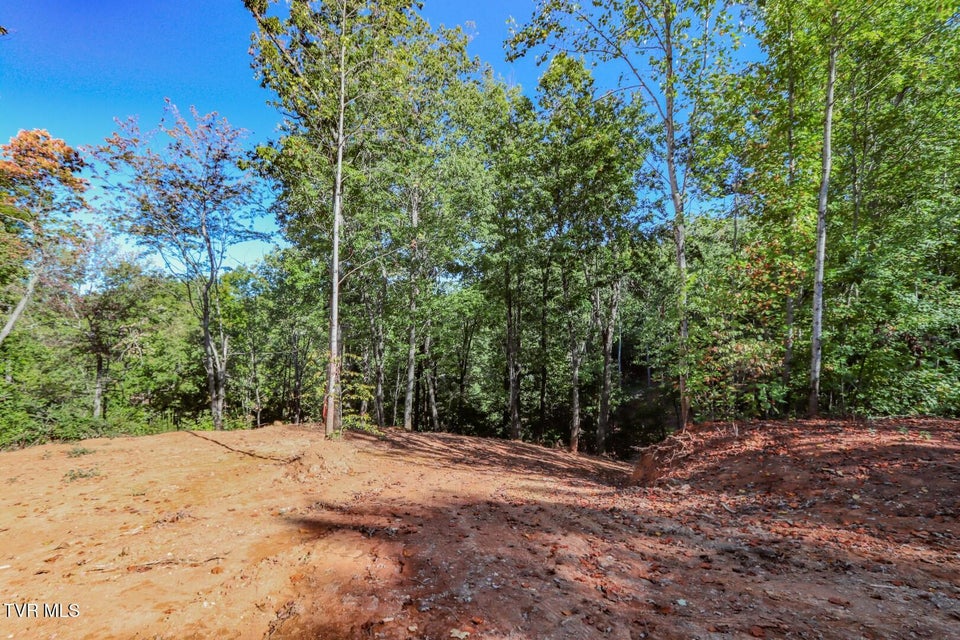 Photo #7: 113 Huffman Way 