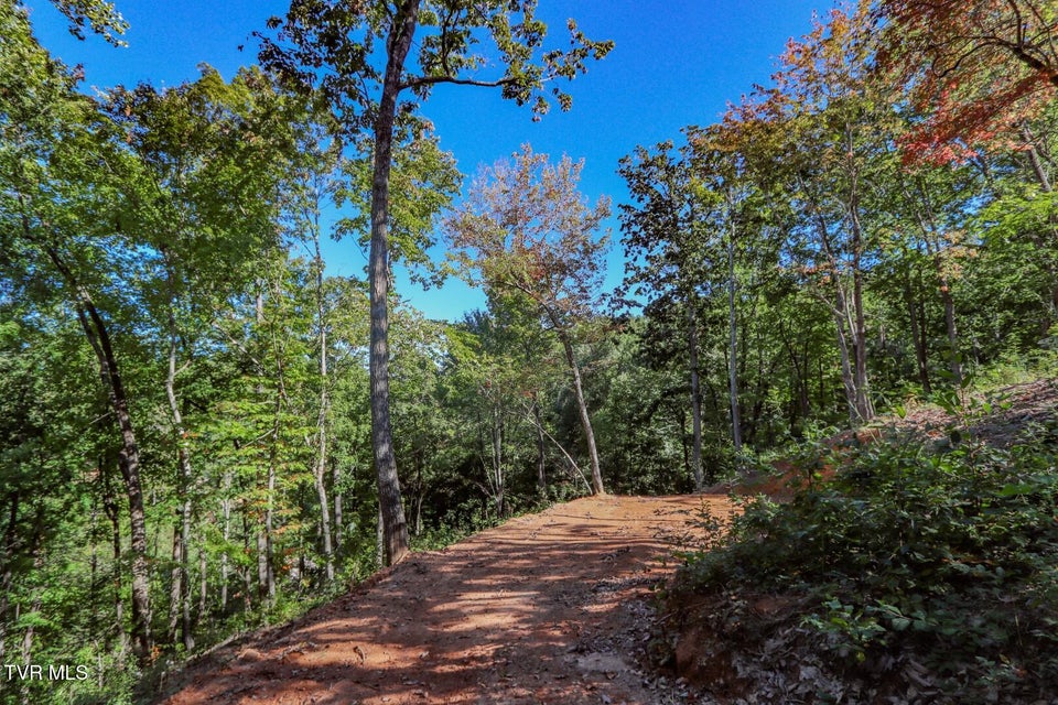 Photo #8: 113 Huffman Way 