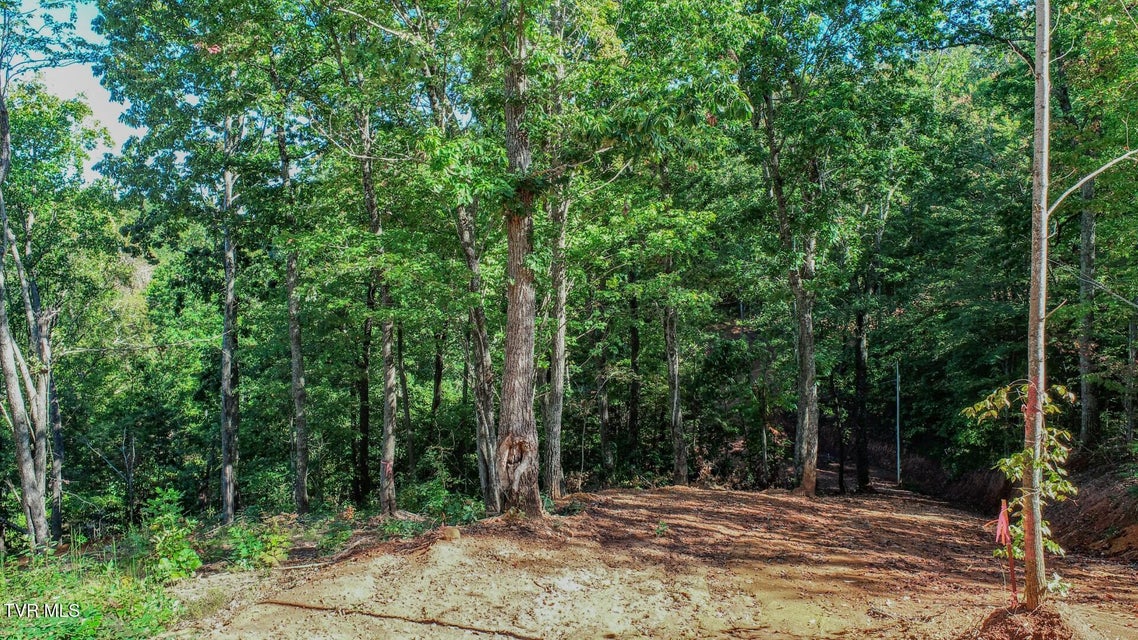 Photo #9: 113 Huffman Way 