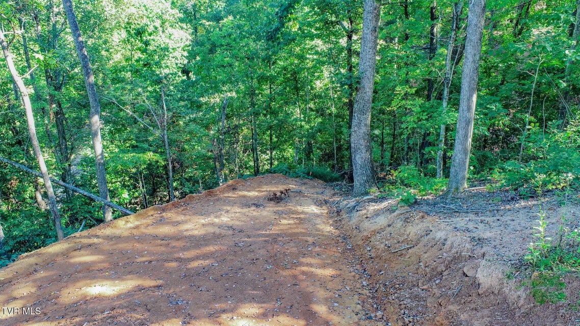 Photo #10: 113 Huffman Way 