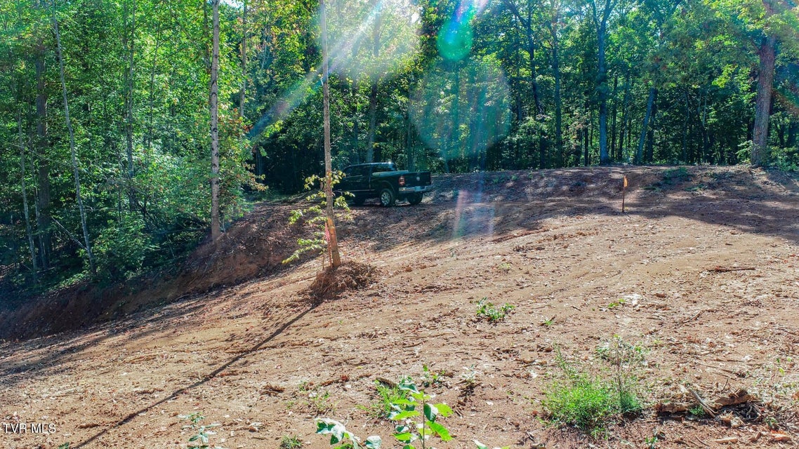 Photo #11: 113 Huffman Way 