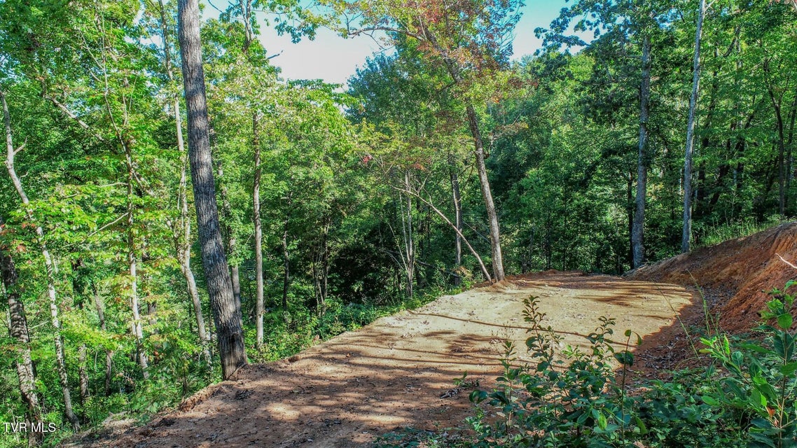 Photo #13: 113 Huffman Way 