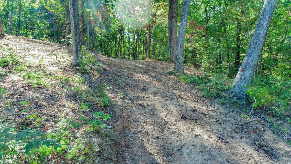 Photo #14: 113 Huffman Way 