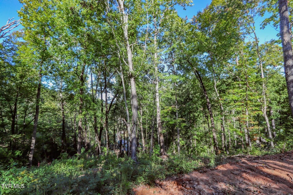 Photo #15: 113 Huffman Way 