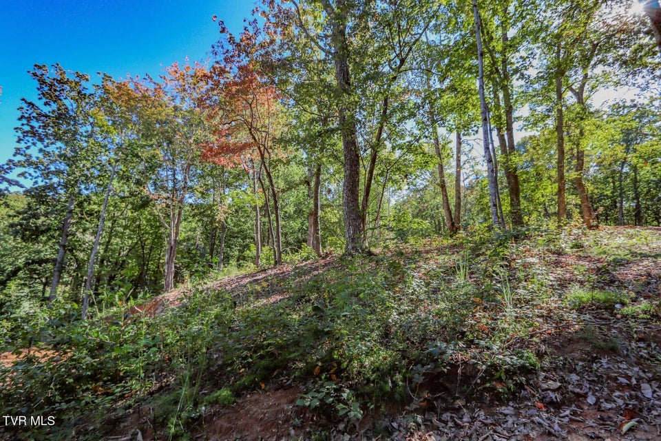 Photo #16: 113 Huffman Way 