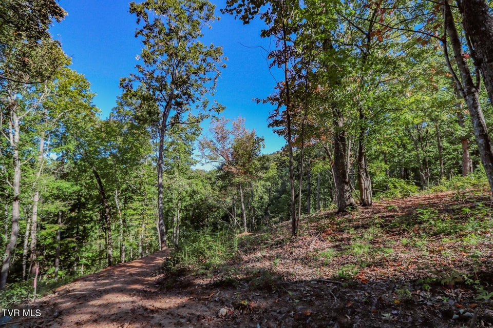 Photo #17: 113 Huffman Way 