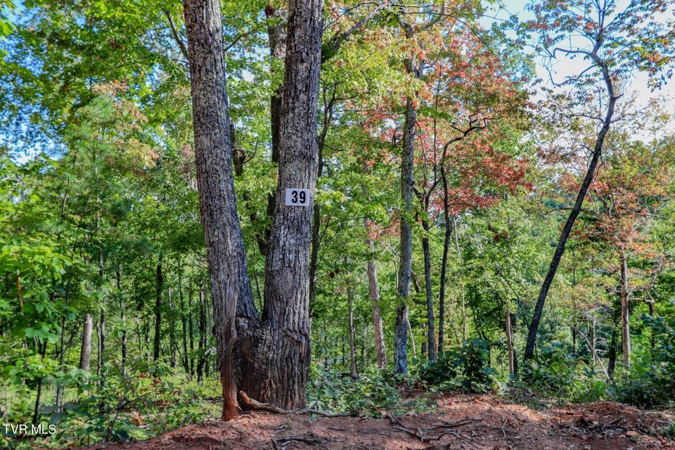 Photo #18: 113 Huffman Way 