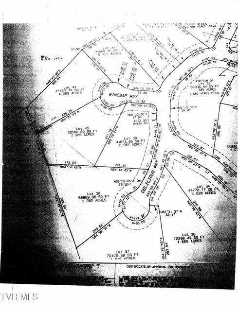 Photo #19: 113 Huffman Way 