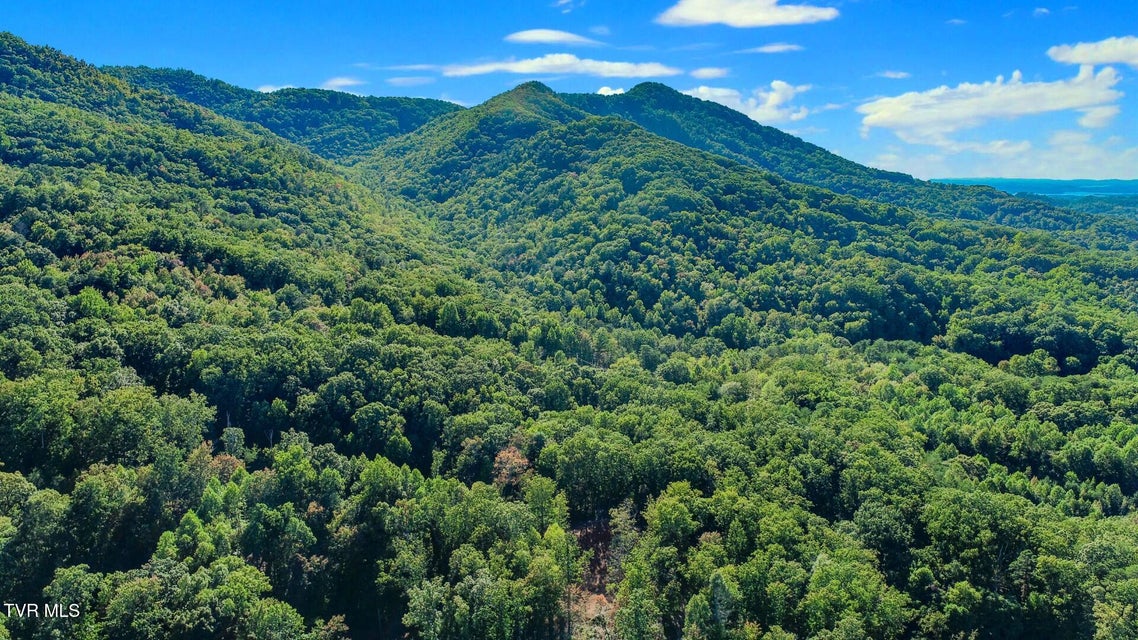 Photo #4: 133 Huffman Way 