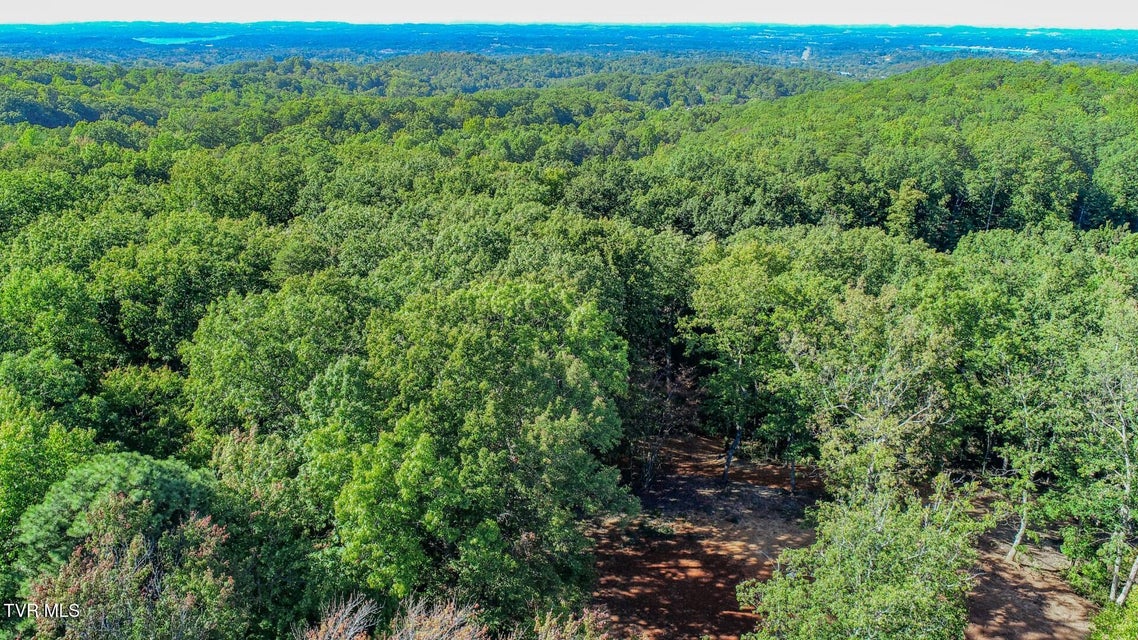 Photo #5: 133 Huffman Way 