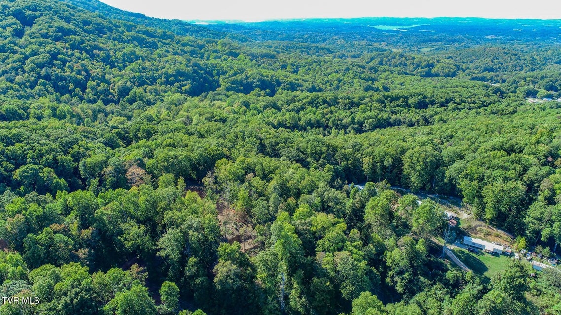 Photo #6: 133 Huffman Way 