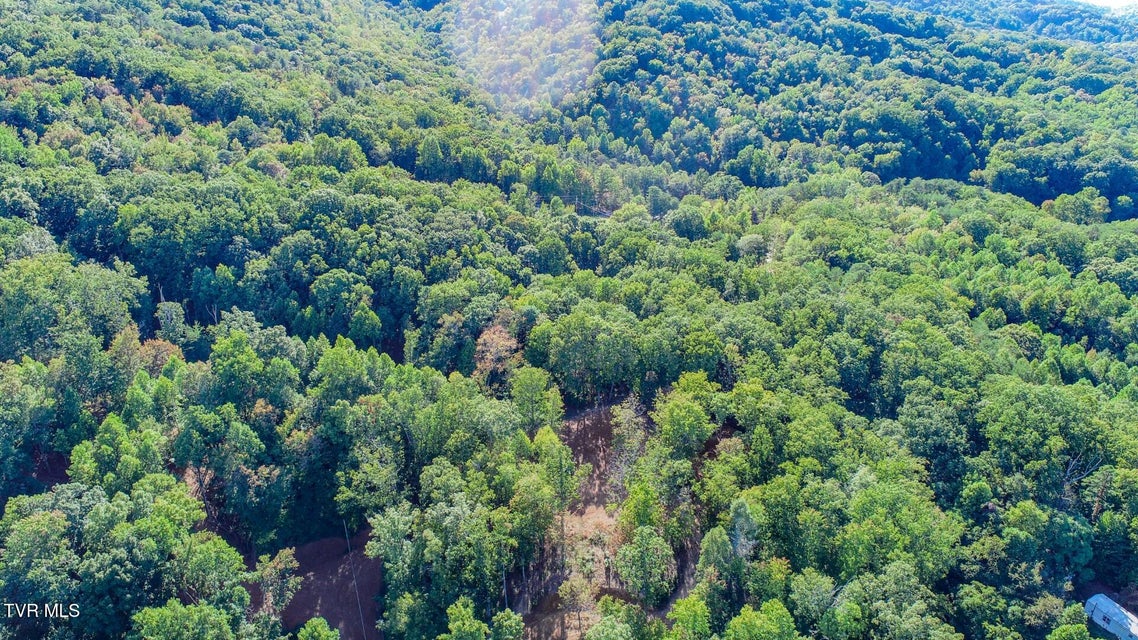 Photo #7: 133 Huffman Way 