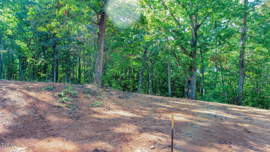 Photo #8: 133 Huffman Way 