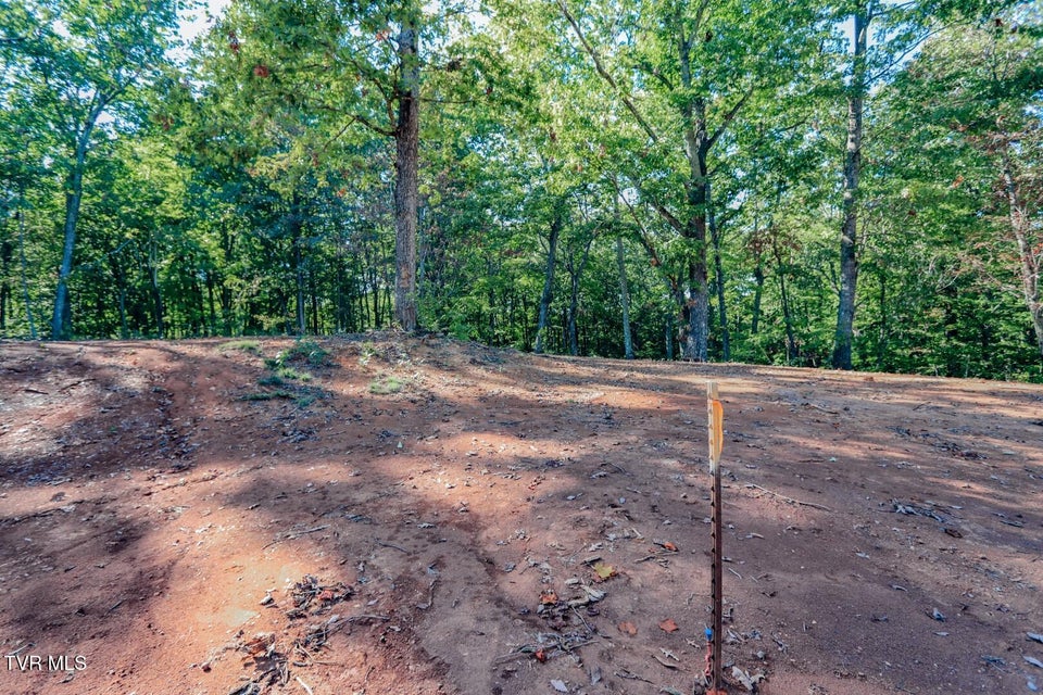 Photo #9: 133 Huffman Way 