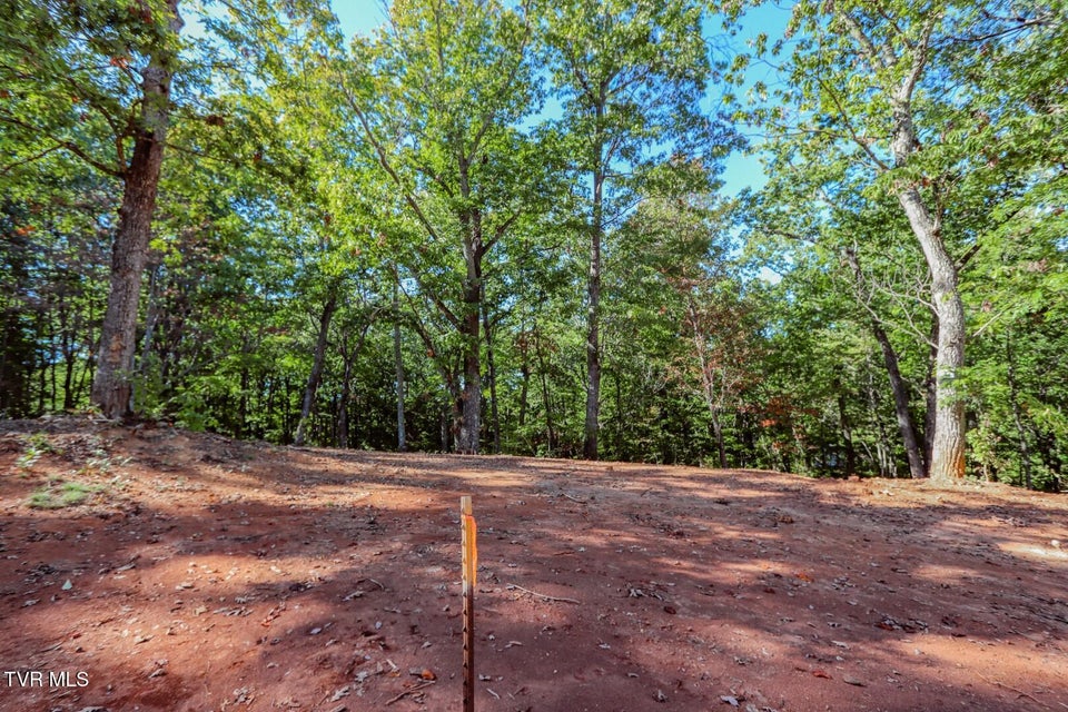 Photo #10: 133 Huffman Way 