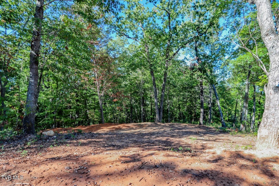 Photo #11: 133 Huffman Way 