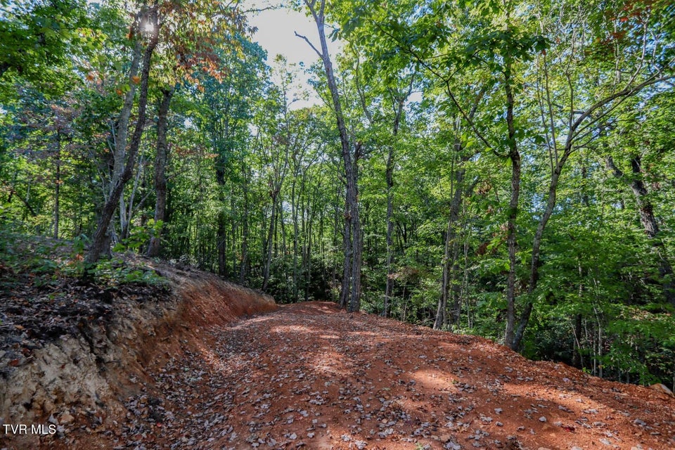 Photo #12: 133 Huffman Way 