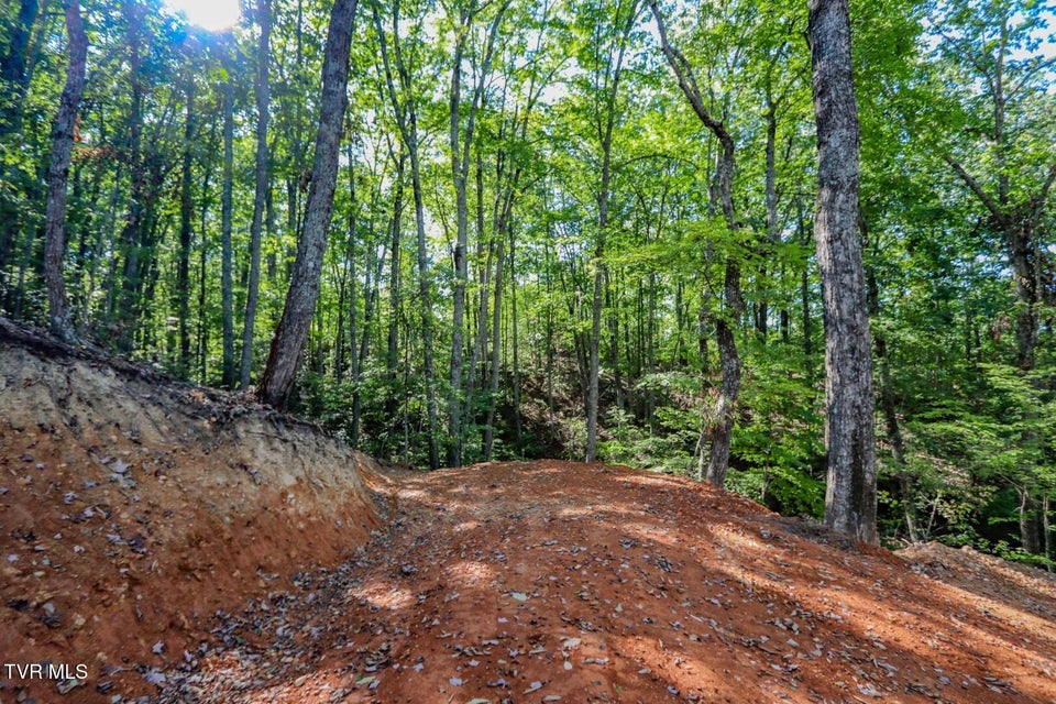 Photo #13: 133 Huffman Way 