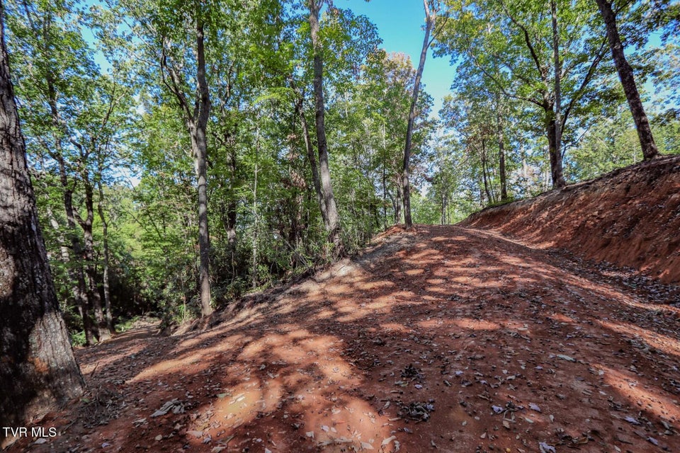 Photo #14: 133 Huffman Way 