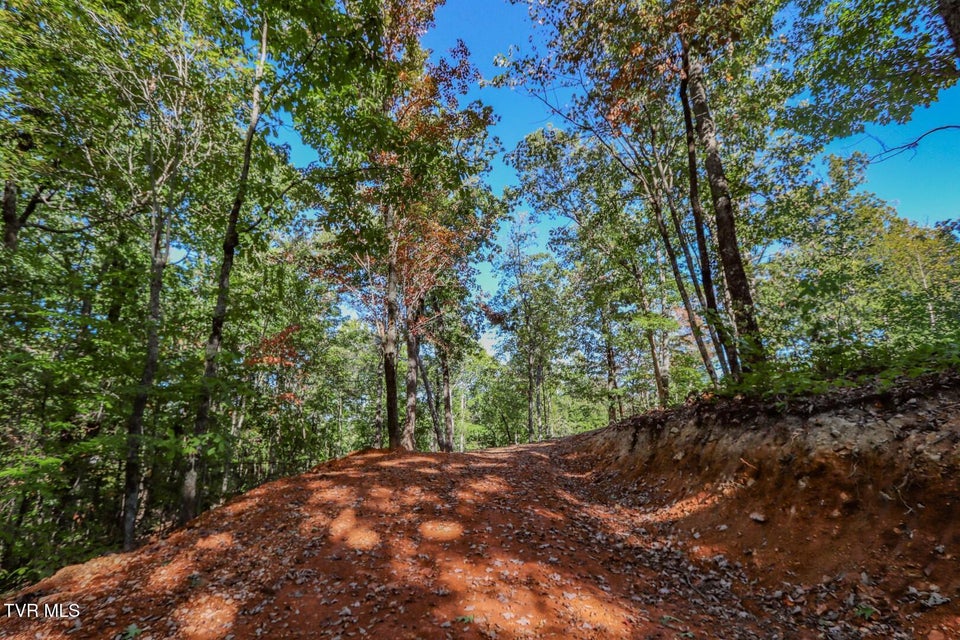 Photo #15: 133 Huffman Way 