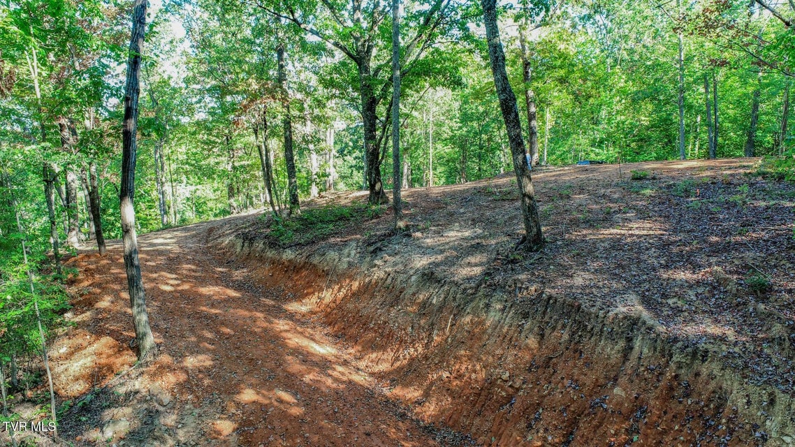 Photo #16: 133 Huffman Way 