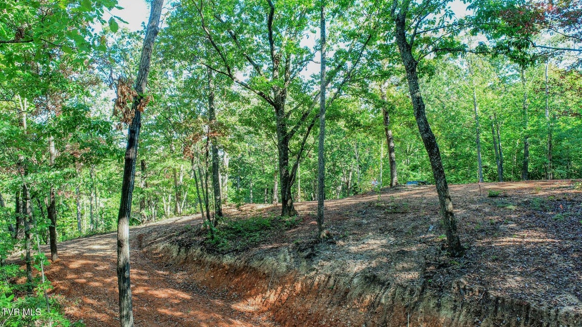 Photo #17: 133 Huffman Way 